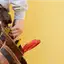 Handyman repair service in Austin, TX for home fixes and improvements