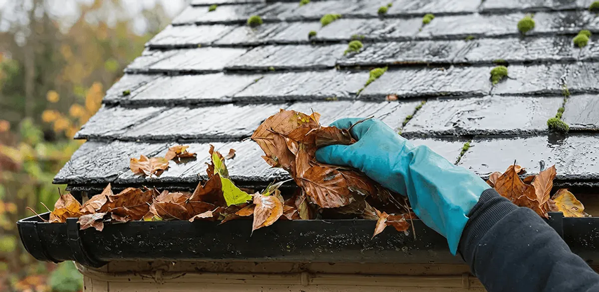 Gutter cleaning technician clearing wet leaves from roof gutters in Austin, TX
